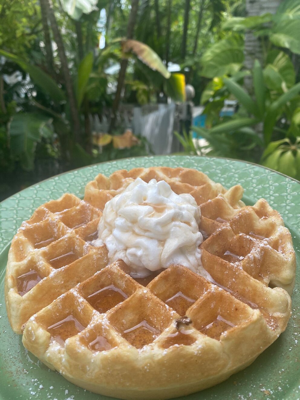 Belgian Waffle